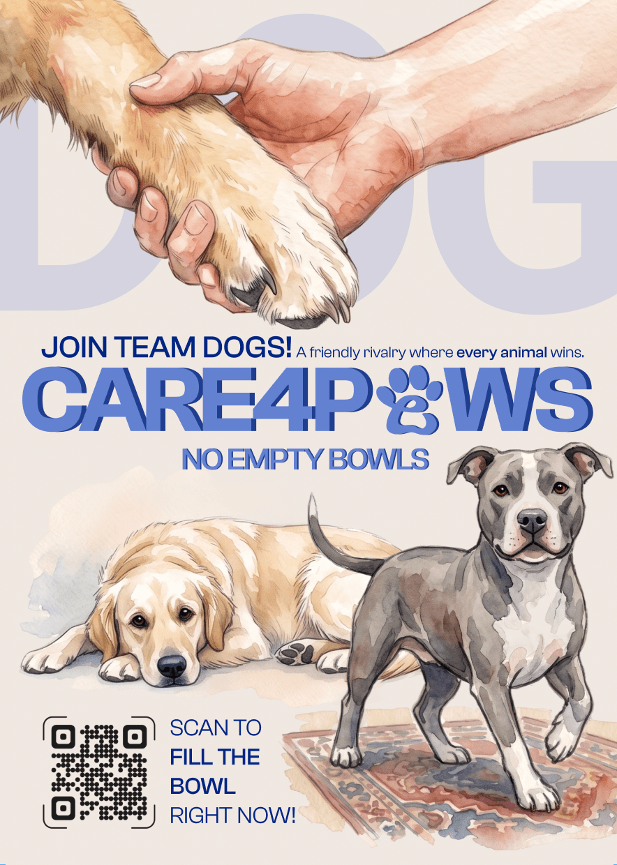 Care4Paws Team Dogs campaign poster